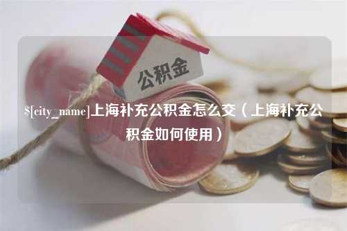 庄河上海补充公积金怎么交（上海补充公积金如何使用）